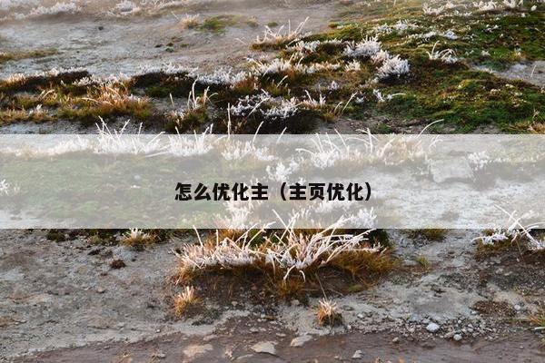怎么优化主（主页优化）
