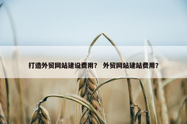 打造外贸网站建设费用？ 外贸网站建站费用？