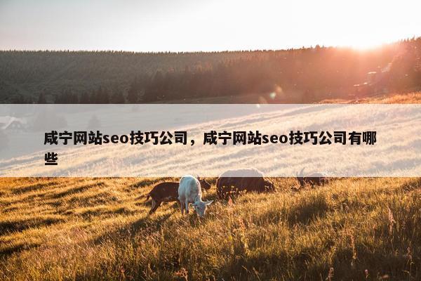 咸宁网站seo技巧公司，咸宁网站seo技巧公司有哪些