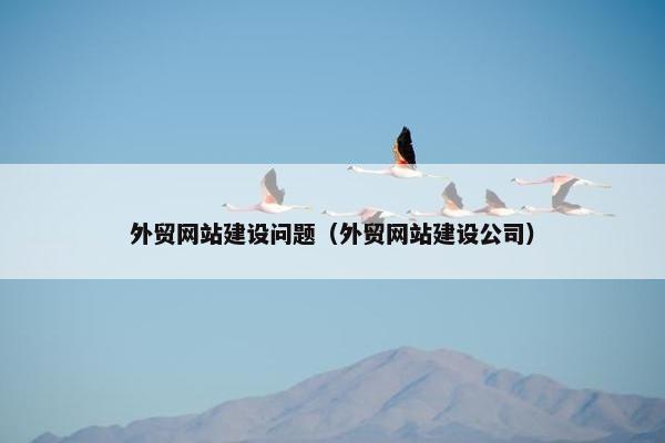 外贸网站建设问题（外贸网站建设公司）