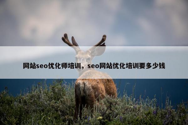 网站seo优化师培训，seo网站优化培训要多少钱