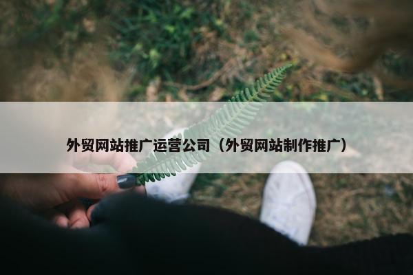 外贸网站推广运营公司（外贸网站制作推广）