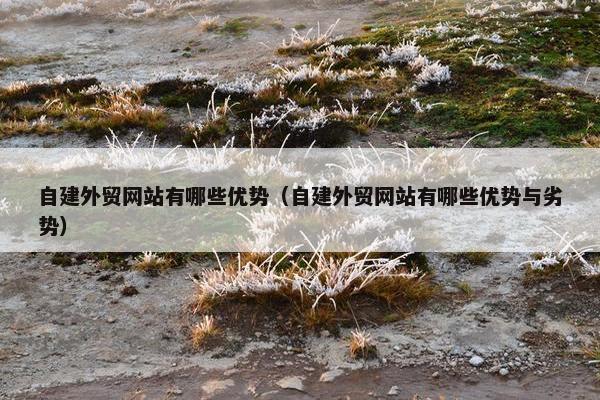 自建外贸网站有哪些优势（自建外贸网站有哪些优势与劣势）