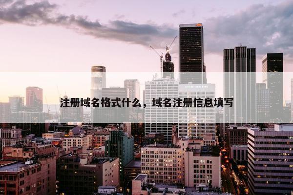 注册域名格式什么，域名注册信息填写