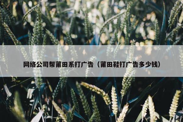 网络公司帮莆田系打广告（莆田鞋打广告多少钱）