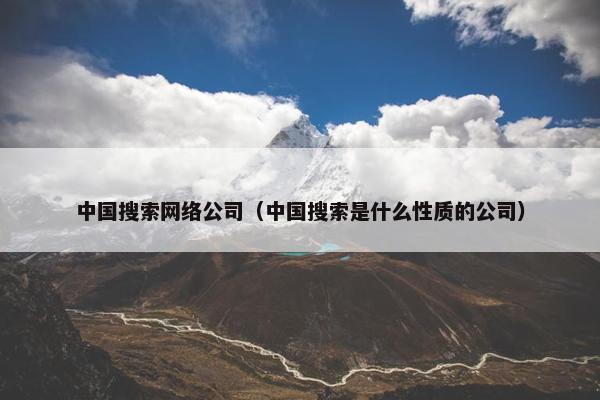 中国搜索网络公司（中国搜索是什么性质的公司）