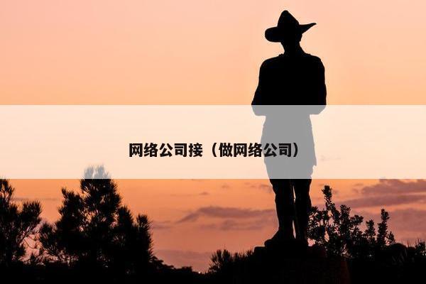网络公司接（做网络公司）