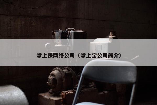 掌上保网络公司（掌上宝公司简介）