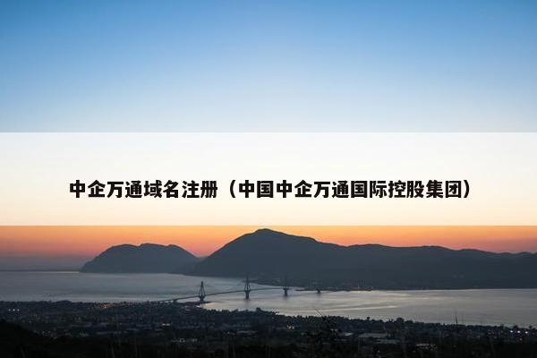 中企万通域名注册（中国中企万通国际控股集团）