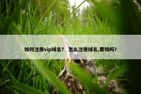 如何注册vip域名？ 怎么注册域名,要钱吗？