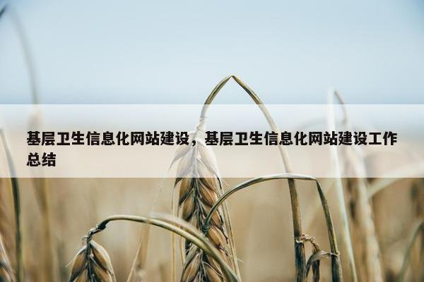基层卫生信息化网站建设，基层卫生信息化网站建设工作总结