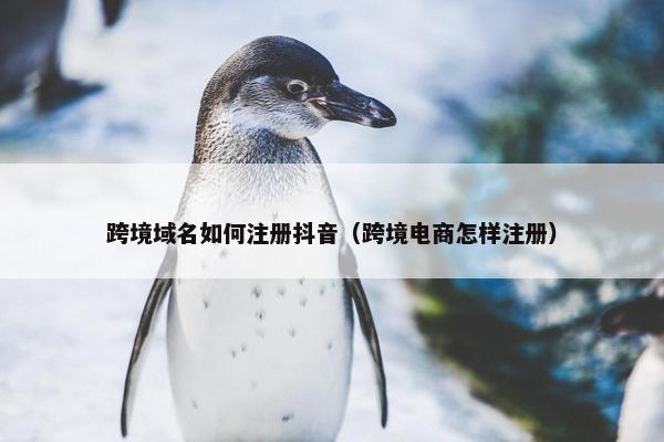 跨境域名如何注册抖音（跨境电商怎样注册）