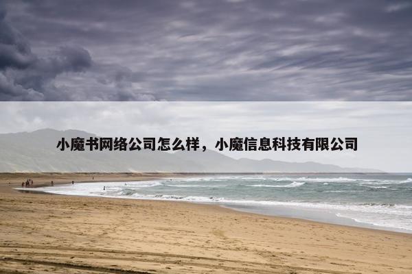 小魔书网络公司怎么样，小魔信息科技有限公司