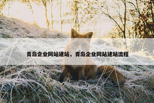 青岛企业网站建站，青岛企业网站建站流程