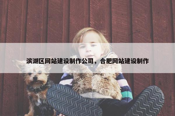 滨湖区网站建设制作公司，合肥网站建设制作