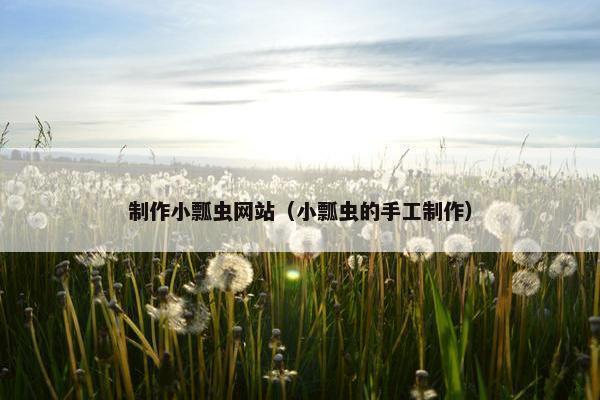 制作小瓢虫网站（小瓢虫的手工制作）