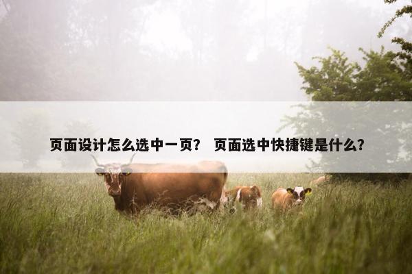 页面设计怎么选中一页？ 页面选中快捷键是什么？