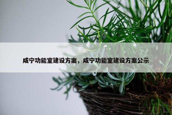 咸宁功能室建设方案，咸宁功能室建设方案公示