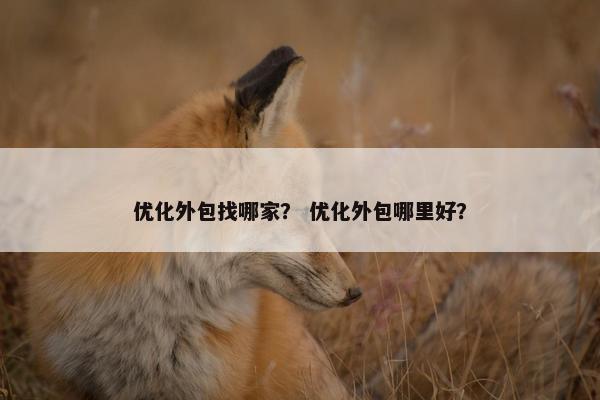优化外包找哪家？ 优化外包哪里好？
