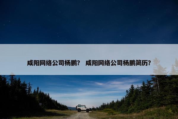 咸阳网络公司杨鹏？ 咸阳网络公司杨鹏简历？
