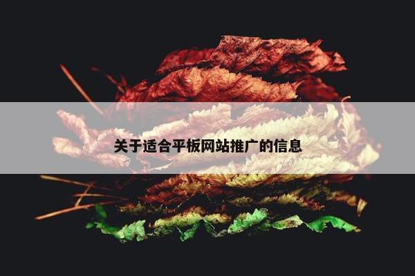 关于适合平板网站推广的信息