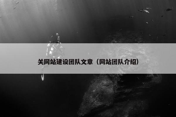 关网站建设团队文章（网站团队介绍）