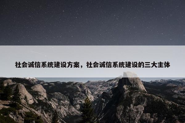 社会诚信系统建设方案，社会诚信系统建设的三大主体