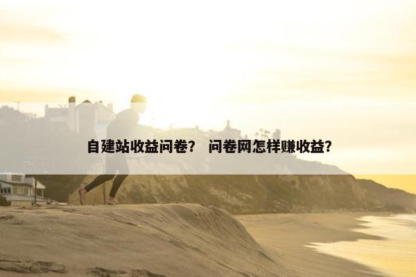 自建站收益问卷？ 问卷网怎样赚收益？