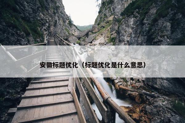 安徽标题优化（标题优化是什么意思）