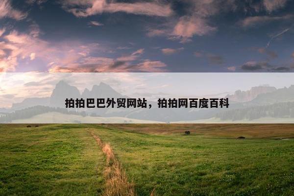 拍拍巴巴外贸网站，拍拍网百度百科