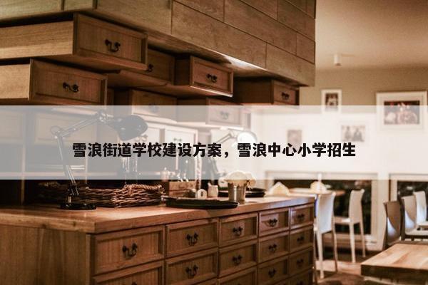 雪浪街道学校建设方案，雪浪中心小学招生