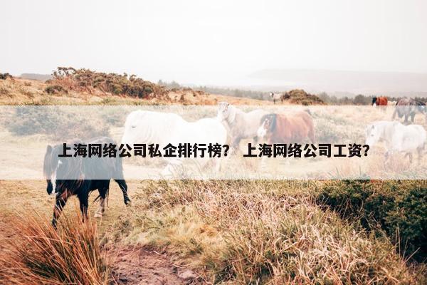 上海网络公司私企排行榜？ 上海网络公司工资？