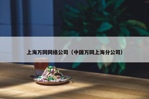 上海万网网络公司（中国万网上海分公司）