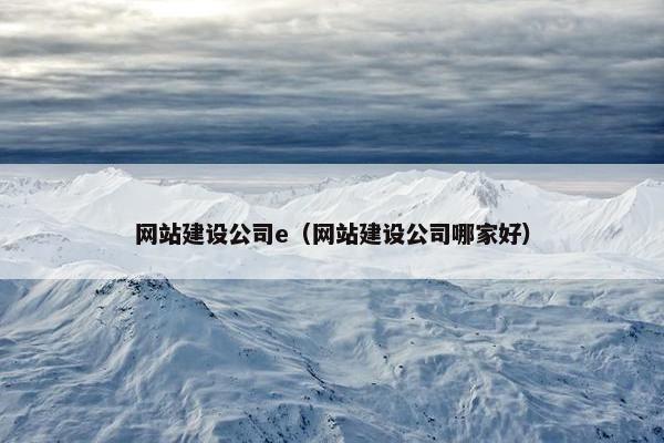 网站建设公司e（网站建设公司哪家好）