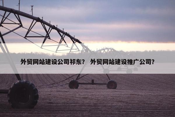 外贸网站建设公司祁东？ 外贸网站建设推广公司？