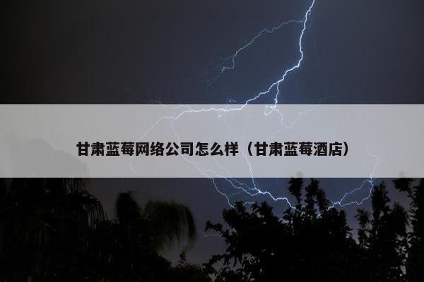 甘肃蓝莓网络公司怎么样（甘肃蓝莓酒店）
