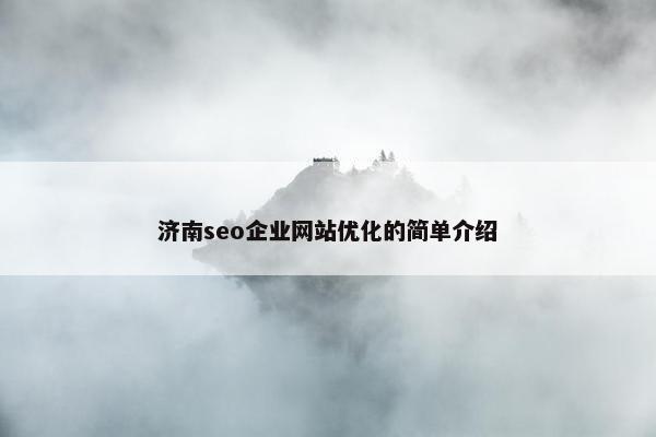 济南seo企业网站优化的简单介绍