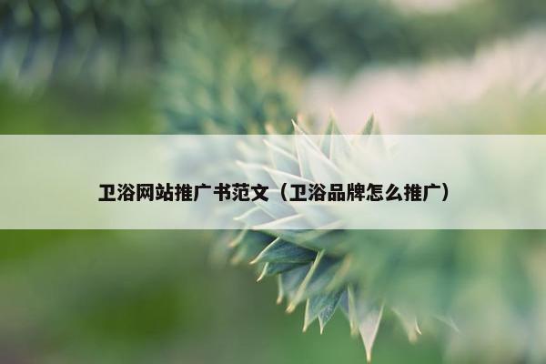 卫浴网站推广书范文（卫浴品牌怎么推广）