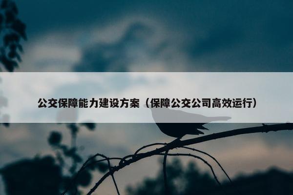 公交保障能力建设方案（保障公交公司高效运行）