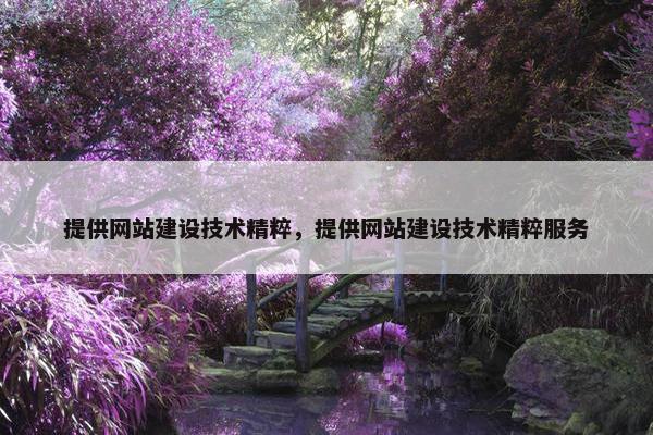 提供网站建设技术精粹，提供网站建设技术精粹服务