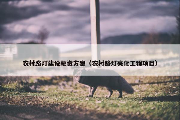 农村路灯建设融资方案（农村路灯亮化工程项目）