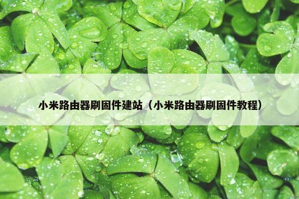 小米路由器刷固件建站（小米路由器刷固件教程）