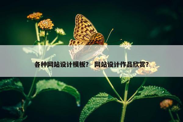 各种网站设计模板？ 网站设计作品欣赏？