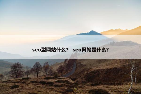 seo型网站什么？ seo网站是什么？