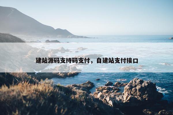 建站源码支持码支付，自建站支付接口