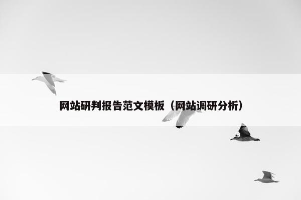 网站研判报告范文模板（网站调研分析）