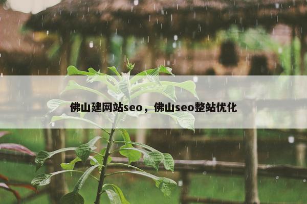 佛山建网站seo，佛山seo整站优化