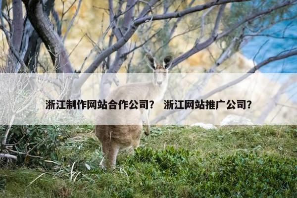 浙江制作网站合作公司？ 浙江网站推广公司？