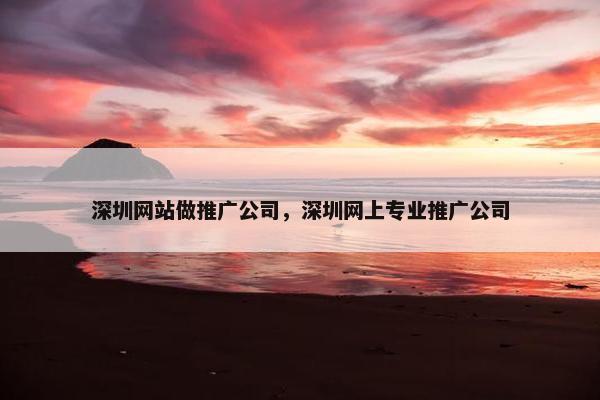 深圳网站做推广公司，深圳网上专业推广公司