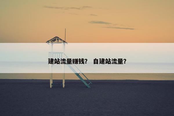 建站流量赚钱？ 自建站流量？